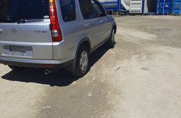 After delivery pictures